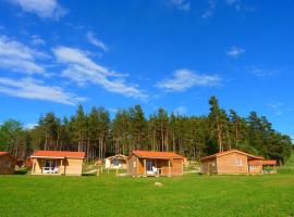 Les Chalets du Haut-Forez，位于Usson-en-Forez的度假村