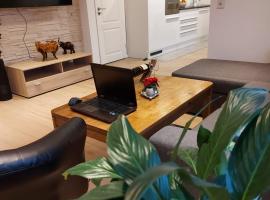 Lilli Ferienwohnung，位于汉德维特的酒店