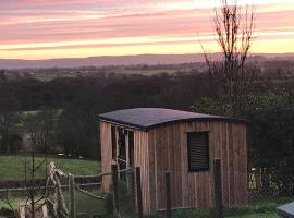 Stunning Shepherds Hut rural bliss Dumfries，位于邓弗里斯的度假屋