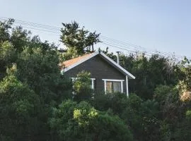 Live in the woods