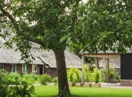 Ermerhoek, in de Hof