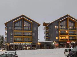 Levin Kunkku B2 Apartment Grey，位于列维Peak Lapland Viewing Deck附近的酒店