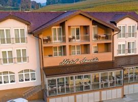 Hotel Amarilis，位于Netretić的酒店