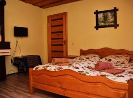 Guest House Mandrivnyi Rooms&Apartments，位于亚西尼亚的旅馆