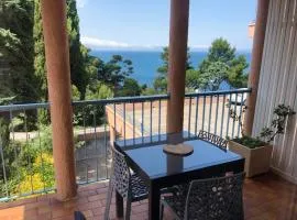 Studio a Collioure a 150 m de la plage avec vue sur la mer et balcon amenage
