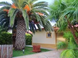 3 bedrooms house at Porto Santo 500 m away from the beach with enclosed garden and wifi