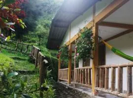 Eco-Cabaña Termales Santa Rosa