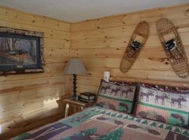 Rowe's Adirondack Cabins of Schroon Lake，位于斯克伦湖Underground Railroad Trail附近的酒店