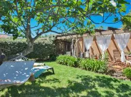maison kiwi avec piscine chauffée terrasse jardin et bbq à Calvi