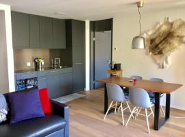 Beautiful Sunny New 1 Bed Apt (2.5Zim). Ski in/out，位于弗利姆斯Arena Express 1附近的酒店