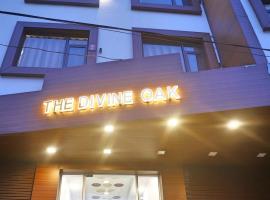 The Divine Oak，位于格德拉Vaishno Devi寺庙附近的酒店