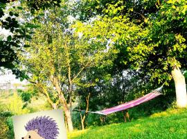 Lavander Garden Camping，位于Răscruci的酒店
