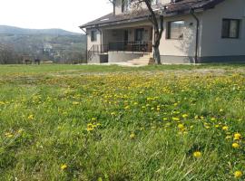 Livada de Zmeura，位于Drăghici的酒店