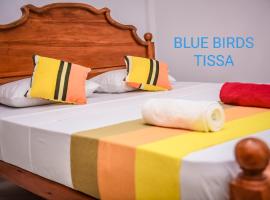 Blue Birds Tissa & Yala safari，位于蒂瑟默哈拉默的住宿加早餐旅馆