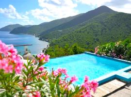 Tortola Adventure Private Villa Ocean-View Pool，位于淡水池塘的度假屋