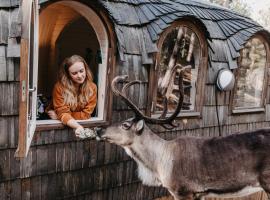 Igluhut – Sleep with reindeer，位于埃斯波的酒店