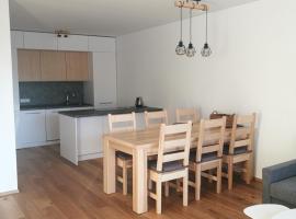 Apartman Hechlstein v Tauplitz，位于巴德米滕多夫的酒店