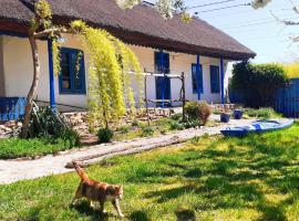 Traditional House in Danube Delta，位于茹里洛夫卡的酒店