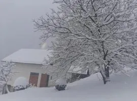 Planinska kuća ,,Furtula" Jahorina