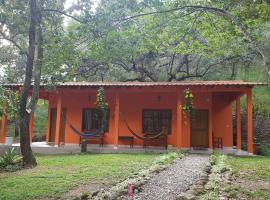 Termas del Rio Lodge，位于Agua Caliente的酒店