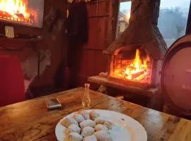 Winter house in Noah's Ark