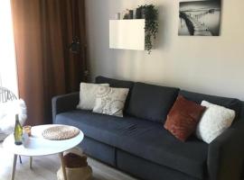 Apartmány Trio Krkonoše，位于上马尔绍夫的酒店