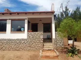 Terraza del Molle