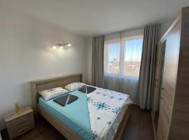 Apartament Sulina，位于苏利纳的酒店