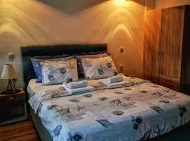 Apartman Srdjan