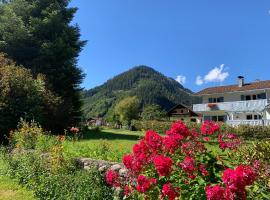 Chalet Villa Alpen Lodge，位于比希尔巴赫的酒店