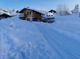 Le chalet du Brabant，位于拉布雷斯的酒店