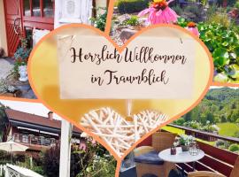 Ferienwohnungen Traumblick im Nahetal，位于Bärenbach的低价酒店