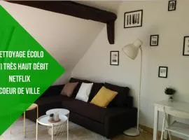 L2 - Green and cosy flat close Paris - WIFI & NETFLIX