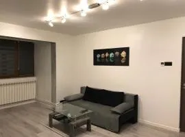 ELEGANT & SILVER LUXURY Apartament