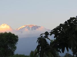 Kilimanjaro White House Hotel，位于莫希的酒店