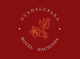 Hotel Hacienda Guadalupana，位于Ciudad Nezahualcóyotl的酒店