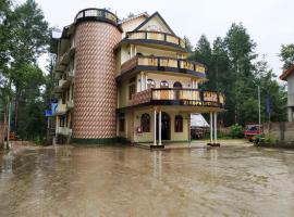 Ziro Palace Inn - A Boutique Hotel，位于Hāpoli的酒店