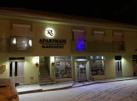 Apartmani Radoičić，位于Jošanička Banja的酒店
