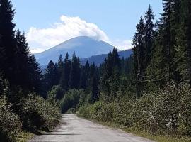 Говерлянка，位于沃罗赫塔的酒店