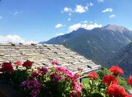 Appartements Mitteregghaus