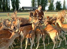 Casa Los Ciervos，位于皮尔克的酒店