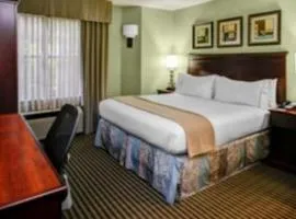 亚特兰大巴克黑德智选假日套房酒店