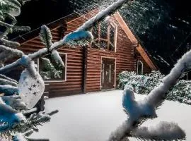 Галерея Карпат