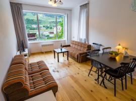 Svaneti Apartment's - Cozy Mountain Apartments in Mestia，位于梅斯蒂亚的自助式住宿