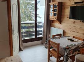 Appartement Combes Blanche 2，位于马尼戈格兰德沙密斯滑雪缆车附近的酒店