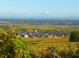 Le GM Maison de Vacances en Alsace，位于米特尔维的住宿加早餐旅馆