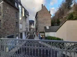 Meublé 2 chambres Wifi balcon 52m2 Centre La Bourboule