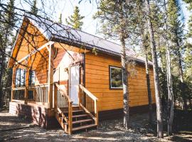 Denali Wild Stay - Redfox Cabin, Free Wifi, private, sleep 6，位于希利的度假屋