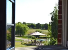 Kleine-Schwalbe