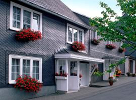 Panoramaferienwohnung Bergwiese，位于马瑟尔贝格的酒店